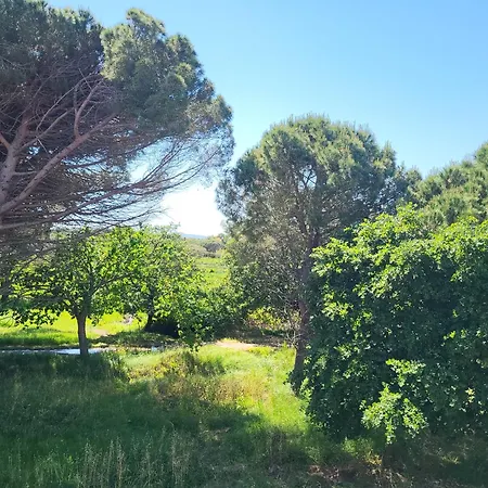 Cosy à 200 M De La à Pied Apartamento *