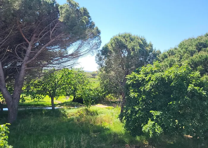 Cosy à 200 M De La à Pied Apartamento *